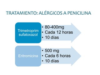 TRATAMIENTO: ALÉRGICOS A PENICILINA
Trimetroprim
sufatoxazol
• 80-400mg
• Cada 12 horas
• 10 días
• 500 mg
• Cada 6 horas
• 10 días
Eritromicina
 