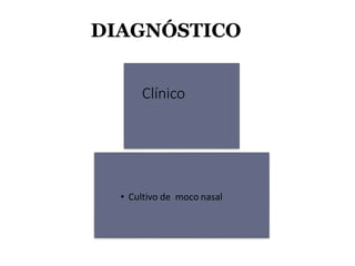 DIAGNÓSTICO
Clínico
• Cultivo de moco nasal
 