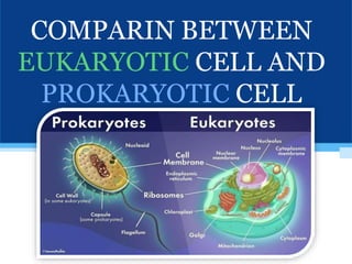 COMPARIN BETWEEN
EUKARYOTIC CELL AND
PROKARYOTIC CELL
 