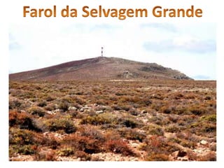 Farol da Selvagem Grande