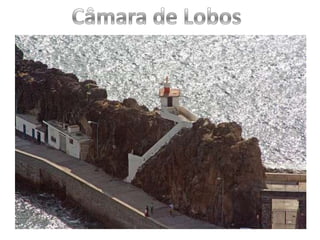 Câmara de Lobos