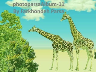 photoparsaAlbum-11By FarkhondehParsa 