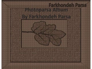 PhotoparsaAlbum By FarkhondehParsa 