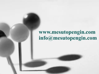 www.mesutopengin.com
info@mesutopengin.com
 