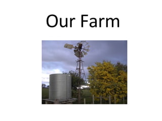 Our Farm 