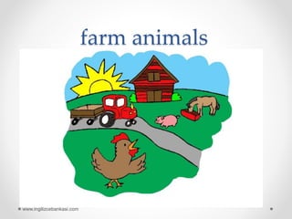 farm animals
www.ingilizcebankasi.com
 