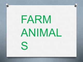 FARM
ANIMAL
S
 