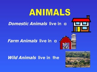 Domestic Animals   live in  a  Farm Animals   live in  a  Wild Animals   live in  the  ANIMALS 