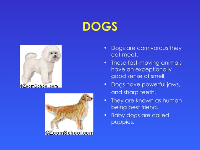 farm-pet-wild-animals-1st-grade-ppt