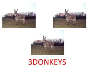 3DONKEYS 