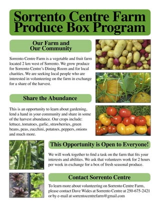 Sorrento Centre Farm
  Produce Box Program
             Our Farm and
            Our Community
Sorrento Centre Farm is a vegetable and fruit farm
located 2 km west of Sorrento. We grow produce
for Sorrento Centre’s Dining Room and for local
charities. We are seeking local people who are
interested in volunteering on the farm in exchange
for a share of the harvest.


        Share the Abundance
This is an opportunity to learn about gardening,
lend a hand in your community and share in some
of the harvest abundance. Our crops include:
lettuce, tomatoes, garlic, strawberries, green
beans, peas, zucchini, potatoes, peppers, onions
and much more.

                        This Opportunity is Open to Everyone!
                       We will work together to find a task on the farm that fits your
                       interests and abilities. We ask that volunteers work for 2 hours
                       per week in exchange for a box of fresh seasonal produce.


                                   Contact Sorrento Centre
                       To learn more about volunteering on Sorrento Centre Farm,
                       please contact Dave Wides at Sorrento Centre at 250-675-2421
                       or by e-mail at sorrentocentrefarm@gmail.com
 