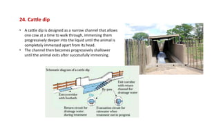 Farm-structures-housing-cow-calves-youngstock_compressed.pdf
