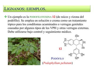 LIGNANOS: EJEMPLOS.
 Un ejemplo es la PODOFILOTOXINA 12 (de raíces y rizona del
podófilo). Se emplea en solución o crema como un tratamiento
tópico para los condilomas acuminados o verrugas genitales
causadas por algunos tipos de los VPH y otras verrugas externas.
Debe utilizarse bajo control y seguimiento médico.
12
PODÓFILO
(Podophyllum peltatum)
 