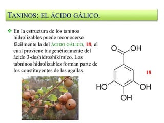 TANINOS: EL ÁCIDO GÁLICO.
 En la estructura de los taninos
hidrolizables puede reconocerse
fácilmente la del ÁCIDO GÁLICO, 18, el
cual proviene biogenéticamente del
ácido 3-deshidroshikímico. Los
tabninos hidrolizables forman parte de
los constituyentes de las agallas. 18
 
