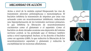 MECANISMO DE ACCIÓN
Actúa a nivel de la médula espinal bloqueando las vías de
transmisión aferentes polisinápticasa y monosinápticas. El
baclofen inhibiría la transmisión de impulsos por estas vías
actuando como un neurotransmisor inhibitorio, induciendo
una hiperpolarización de los terminales nerviosos primarios,
lo que inhibiría la liberación de neurotransmisores
excitatorios como el glutamato o el aspartato. Como el
baclofen en dosis elevadas ocasiona una depresión del sistema
nervioso central, se ha postulado que el fármaco también
actúa a nivel supraespinal. Incluso, se ha descrito el baclofen
como un agonista GABA, lo que reduciría la liberación de los
neurotransmisores aspartato y glutamato y reduciría la
excitabilidad de los neuronas alfamotoras.
 