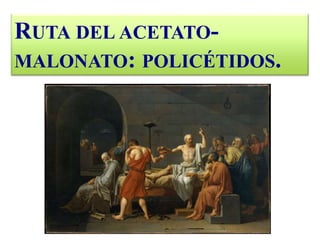 RUTA DEL ACETATO-
MALONATO: POLICÉTIDOS.
 