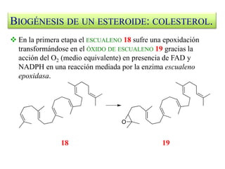  En la primera etapa el ESCUALENO 18 sufre una epoxidación
transformándose en el ÓXIDO DE ESCUALENO 19 gracias la
acción del O2 (medio equivalente) en presencia de FAD y
NADPH en una reacción mediada por la enzima escualeno
epoxidasa.
BIOGÉNESIS DE UN ESTEROIDE: COLESTEROL.
18 19
 