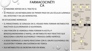 FARMACOCINÉTI
CA
• SE ABSORBE RÁPIDO EN EL TRACTO GI.
• SE PRODUCE UN METABOLISMO DE PRIMER PASO EN LAS CÉLULAS LUMINALES
DEL INTESTINO Y EN LOS HEPATOCITOS.
EN SITUACIONES NORMALES
• EL PARACETAMOL SE CONJUGA EN EL HÍGADO PARA FORMAR METABOLITOS
INACTIVOS GLUCURONADOS O SULFATADOS.
• UNA PORCIÓN SE HIDROXILA PARA FORMAR N-ACETIL-P-
BENZOQUINONEIMINA O NAPQI, UN METABOLITO MUY REACTIVO QUE
REACCIONA A GRUPOS SULFHIDRILO Y PROVOCA DAÑO HEPÁTICO.
• A DOSIS NORMALES LA NAPQI REACCIONA CON EL GRUPO SULFHIDRILO DEL
GLUCATIÓN Y FORMA UNA SUSTANCIA NO TOXICA.
• SUS METABOLITOS SE EXCRETAN POR VÍA RENAL
 