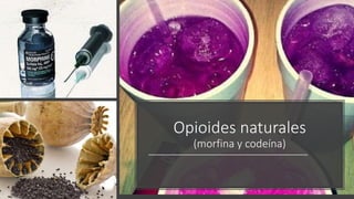 Opioides naturales
(morfina y codeína)
 
