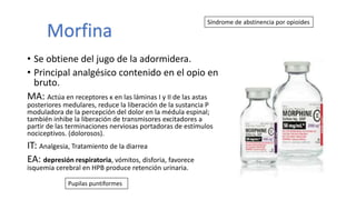 • Se obtiene del jugo de la adormidera.
• Principal analgésico contenido en el opio en
bruto.
MA: Actúa en receptores κ en las láminas I y II de las astas
posteriores medulares, reduce la liberación de la sustancia P
moduladora de la percepción del dolor en la médula espinal;
también inhibe la liberación de transmisores excitadores a
partir de las terminaciones nerviosas portadoras de estímulos
nociceptivos. (dolorosos).
IT: Analgesia, Tratamiento de la diarrea
EA: depresión respiratoria, vómitos, disforia, favorece
isquemia cerebral en HPB produce retención urinaria.
Morfina
Síndrome de abstinencia por opioides
Pupilas puntiformes
 