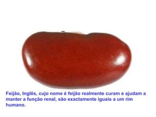 Feijão, Inglês, cujo nome é feijão realmente curam e ajudam a
manter a função renal, são exactamente iguais a um rim
humano.
 