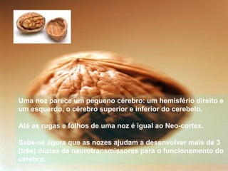 Uma noz parece um pequeno cérebro: um hemisfério direito e
um esquerdo, o cérebro superior e inferior do cerebelo.

Até as rugas e folhos de uma noz é igual ao Neo-cortex.

Sabe-se agora que as nozes ajudam a desenvolver mais de 3
(três) dúzias de neurotransmissores para o funcionamento do
cérebro.
 