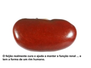O feijão realmente cura e ajuda a manter a função renal ... e
tem a forma de um rim humano.
 
