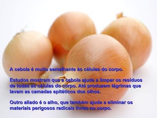 A cebola é muito semelhante às células do corpo.

Estudos mostram que a cebola ajuda a limpar os resíduos
de todas as células do corpo. Até produzem lágrimas que
lavam as camadas epitéticos dos olhos.

Outro aliado é o alho, que também ajuda a eliminar os
materiais perigosos radicais livres no corpo.
 