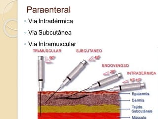 Paraenteral
◦ Via Intradérmica
◦ Via Subcutânea
◦ Via Intramuscular
 
