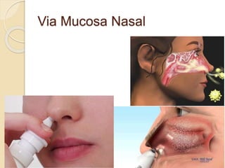 Via Mucosa Nasal
 