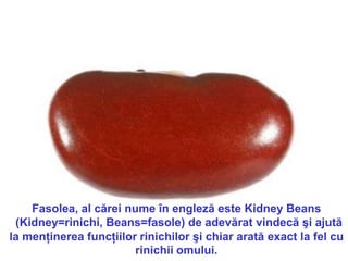 Fasolea, al cărei nume în engleză este Kidney Beans
 (Kidney=rinichi, Beans=fasole) de adevărat vindecă şi ajută
la menţinerea funcţiilor rinichilor şi chiar arată exact la fel cu
                        rinichii omului.
 