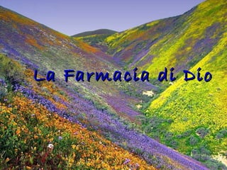 La Farmacia di DioLa Farmacia di Dio
 