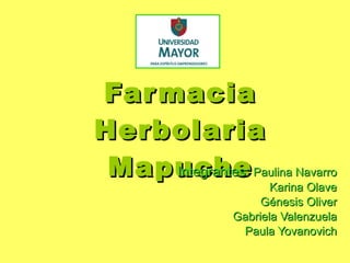 Farmacia Herbolaria Mapuche Integrantes:  Paulina Navarro Karina Olave Génesis Oliver Gabriela Valenzuela Paula Yovanovich 
