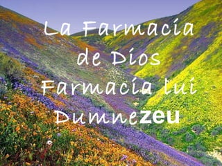 La Farmacia
de Dios
Farmacia lui
Dumnezeu
 