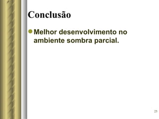 Conclusão
 Melhor desenvolvimento no
  ambiente sombra parcial.




                              25
 
