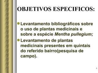 OBJETIVOS ESPECIFICOS:

 Levantamento bibliográficos sobre
  o uso de plantas medicinais e
  sobre a espécie Mentha pullegium;
 Levantamento de plantas
  medicinais presentes em quintais
  do referido bairro(pesquisa de
  campo).

                                      4
 