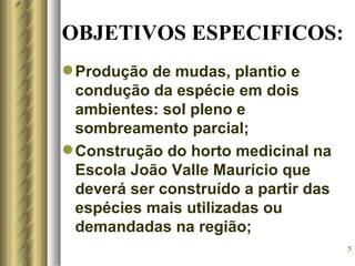 OBJETIVOS ESPECIFICOS:
 Produção de mudas, plantio e
  condução da espécie em dois
  ambientes: sol pleno e
  sombreamento parcial;
 Construção do horto medicinal na
  Escola João Valle Maurício que
  deverá ser construído a partir das
  espécies mais utilizadas ou
  demandadas na região;
                                       5
 