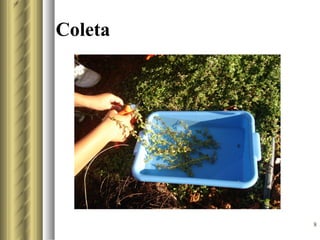 Coleta




         8
 