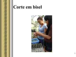 Corte em bisel




                 9
 