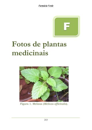Farmácia Verde
213
Fotos de plantas
medicinais
Figura 1. Melissa (Melissa officinalis).
F
 