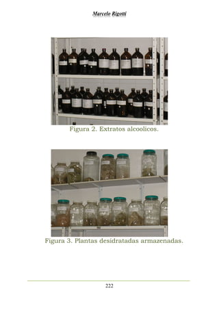 Marcelo Rigotti
222
Figura 2. Extratos alcoolicos.
Figura 3. Plantas desidratadas armazenadas.
 