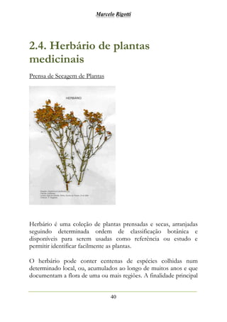 Marcelo Rigotti
40
2.4. Herbário de plantas
medicinais
Prensa de Secagem de Plantas
Herbário é uma coleção de plantas prensadas e secas, arranjadas
seguindo determinada ordem de classificação botânica e
disponíveis para serem usadas como referência ou estudo e
permitir identificar facilmente as plantas.
O herbário pode conter centenas de espécies colhidas num
determinado local, ou, acumulados ao longo de muitos anos e que
documentam a flora de uma ou mais regiões. A finalidade principal
 