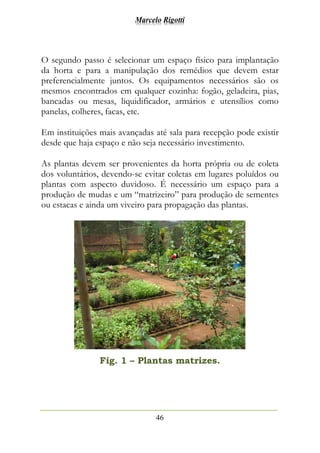 Marcelo Rigotti
46
O segundo passo é selecionar um espaço físico para implantação
da horta e para a manipulação dos remédios que devem estar
preferencialmente juntos. Os equipamentos necessários são os
mesmos encontrados em qualquer cozinha: fogão, geladeira, pias,
bancadas ou mesas, liquidificador, armários e utensílios como
panelas, colheres, facas, etc.
Em instituições mais avançadas até sala para recepção pode existir
desde que haja espaço e não seja necessário investimento.
As plantas devem ser provenientes da horta própria ou de coleta
dos voluntários, devendo-se evitar coletas em lugares poluídos ou
plantas com aspecto duvidoso. É necessário um espaço para a
produção de mudas e um “matrizeiro” para produção de sementes
ou estacas e ainda um viveiro para propagação das plantas.
Fig. 1 – Plantas matrizes.
 