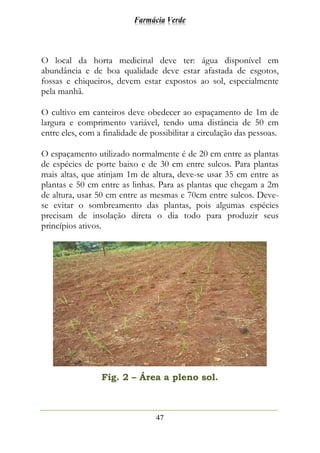 Farmácia Verde
47
O local da horta medicinal deve ter: água disponível em
abundância e de boa qualidade deve estar afastada de esgotos,
fossas e chiqueiros, devem estar expostos ao sol, especialmente
pela manhã.
O cultivo em canteiros deve obedecer ao espaçamento de 1m de
largura e comprimento variável, tendo uma distância de 50 cm
entre eles, com a finalidade de possibilitar a circulação das pessoas.
O espaçamento utilizado normalmente é de 20 cm entre as plantas
de espécies de porte baixo e de 30 cm entre sulcos. Para plantas
mais altas, que atinjam 1m de altura, deve-se usar 35 cm entre as
plantas e 50 cm entre as linhas. Para as plantas que chegam a 2m
de altura, usar 50 cm entre as mesmas e 70cm entre sulcos. Deve-
se evitar o sombreamento das plantas, pois algumas espécies
precisam de insolação direta o dia todo para produzir seus
princípios ativos.
Fig. 2 – Área a pleno sol.
 