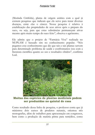 Farmácia Verde
57
(Morinda Citrifolia), planta de origem asiática com a qual já
existem pesquisas que indicam que ela serve para tratar diversas
doenças, entre elas o câncer. Nossa pesquisa é relativa à
estabilização das propriedades de seus ativos após o preparo do
suco, ou seja, para que estas substâncias permaneçam ativas
mesmo após muito tempo do suco feito”, observa o agrônomo.
Ele admite que o projeto de “Farmácia Viva” realizada no
NUPLAM é baseado sim no conhecimento popular. “Nós
pegamos esse conhecimento que diz que tais e tais plantas servem
para determinado problema de saúde e confrontamos isso com a
literatura científica quanto ao uso e resultados obtidos”, confirma
Leal.
Muitas das espécies de plantas mediciais podem
ser produzidas no quintal de casa
Como resultado dessa linha de pesquisa, o professor conta que já
ministrou dois cursos de produtos naturais, orientou três
monografias, além de trabalhos para apresentação em congressos,
bem como a produção de matéria prima para remédios, como
 