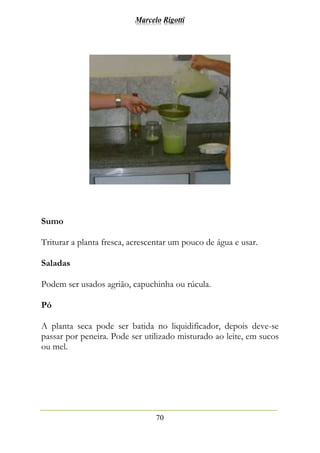 Marcelo Rigotti
70
Sumo
Triturar a planta fresca, acrescentar um pouco de água e usar.
Saladas
Podem ser usados agrião, capuchinha ou rúcula.
Pó
A planta seca pode ser batida no liquidificador, depois deve-se
passar por peneira. Pode ser utilizado misturado ao leite, em sucos
ou mel.
 