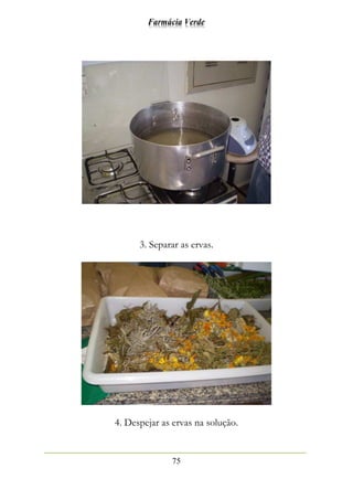 Farmácia Verde
75
3. Separar as ervas.
4. Despejar as ervas na solução.
 