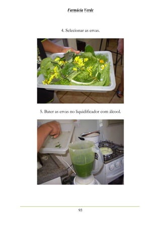 Farmácia Verde
93
4. Selecionar as ervas.
5. Bater as ervas no liquidificador com álcool.
 