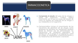 FARMACOCINETICA
 Comprende el estudio del paso de las drogas a
través del organismo. Cinética implica
movimiento, por lo que se ocupa del estudio de
como se mueven las moléculas de las drogas o
sus metabolitos en el organismo.
La farmacocinética incluye el conocimiento de los
mecanismo de absorción de las drogas, como
atraviesan los fármacos las membranas celulares
desde las distintas vías de administración, los
mecanismos de transporte plasmático, la
distribución de la droga en el organismo, como
las drogas se metabolizan o biotransformación y
los mecanismos de eliminación o excreción.
 