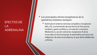 EFECTOS DE
LA
ADRENALINA
• Los principales efectos terapéuticos de la
epinefrina sistémica incluyen:
• Estimula el sistema nervioso simpático (receptores
alfa y ß), aumentando de esa forma la frecuencia
cardiaca, gasto cardíaco y circulación coronaria.
Mediante su acción sobre los receptores ß de la
musculatura lisa bronquial, la adrenalina provoca una
relajación de esta musculatura, lo que alivia sibilancias
y disnea.
 